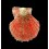 squamata 55,0mm