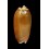vidua aurata 52,0mm
