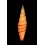 coccineum 71,7mm