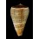 loroisii insignis 111,0mm BIG