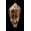 canonicus textilinus 67,6mm