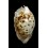 marginata consueta 59,6mm