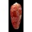bullatus 71,7mm
