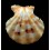 rastellum 46,3mm