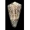 marmoreus 101,6mm