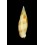 rubiginosa 46,0mm LARGE