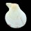 sentis 45mm ALBINO
