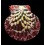 pallium 61,4mm