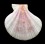 convexum 54,0mm