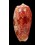 bullatus 66,2mm