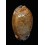 arabica 63,0mm RUSTY