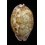 mappa panerythra 74,0mm