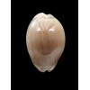 cinerea 35,0mm