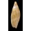 sericata 95,8mm