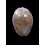 poraria 17,2mm