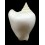 canarium guidoi 43,2mm