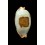 stolida salaryensis 29,2mm