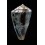 purpurascens 52,3mm