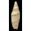 gardneri 86,0mm BIG