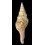 brianoi 162,5mm BIG