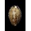 arabicula 27,3mm