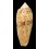 dusaveli 86,0mm