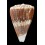 trigonus 58,1mm