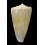 exiguus optimus 44,2mm BIG