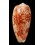 bullatus 74,6mm