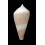 neocaledonicus 54,5mm RARE