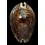 stercoraria 90,0mm