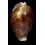 pantherina funebralis 69,4mm