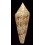 gloriamaris 76,4mm SOLOMON