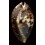 friendii insulata 91,0mm