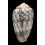 arenatus bizonus 58,4mm