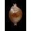 globulus sphaeridium 22,3mm