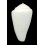 pictus 47,2mm ALBINO RARE