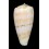 anemone peronianus 74,1mm