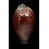 adusta 51,8mm BIG