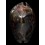 stercoraria 85,5mm SUPERB