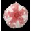 grandis 59,3mm