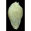 hesitata 100,1mm
