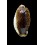 cylindrica 34,5mm SPECTACULAR