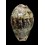 lentiginosa dancalica 31,6mm SUPERB