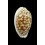 cribraria 37,5mm BIG