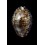 arabicula 27,2mm SUPERB