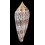 australis 104,2mm