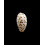 punctata berinii 19,0mm BIG