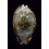grayana 56,6mm DARK