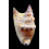vomer 78,0mm